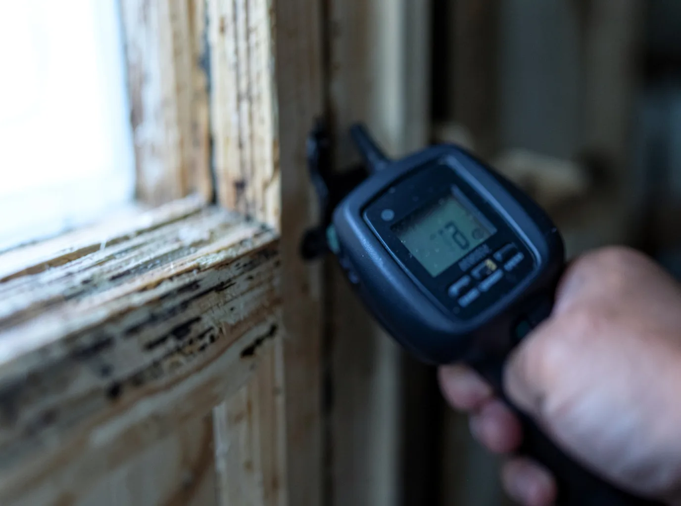 Moisture Inspection And Documentation in Jobstown, NJ